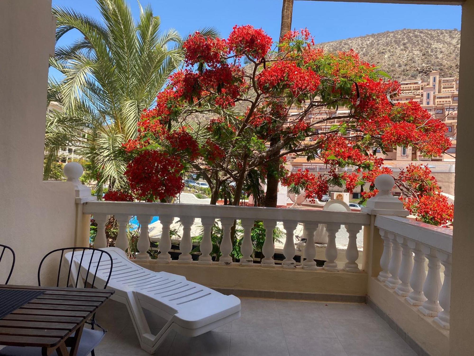 Castle Harbour Samuel'S Studio Flat By Lovetenerife Los Cristianos  Eksteriør bilde